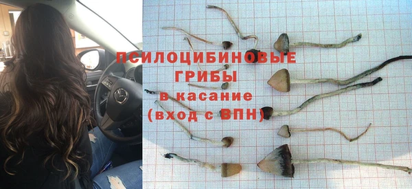 a pvp Пересвет