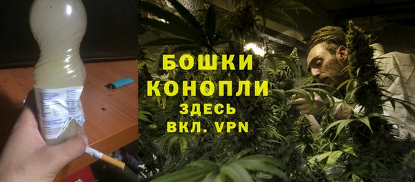 a pvp Пересвет