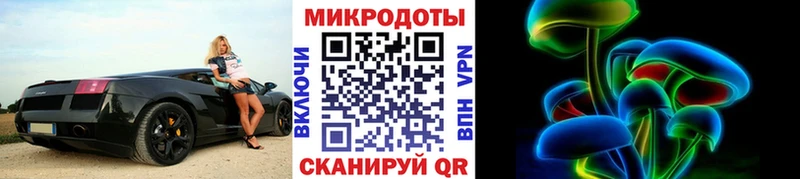 Псилоцибиновые грибы GOLDEN TEACHER  MEGA онион  Камышин  купить наркотики цена 